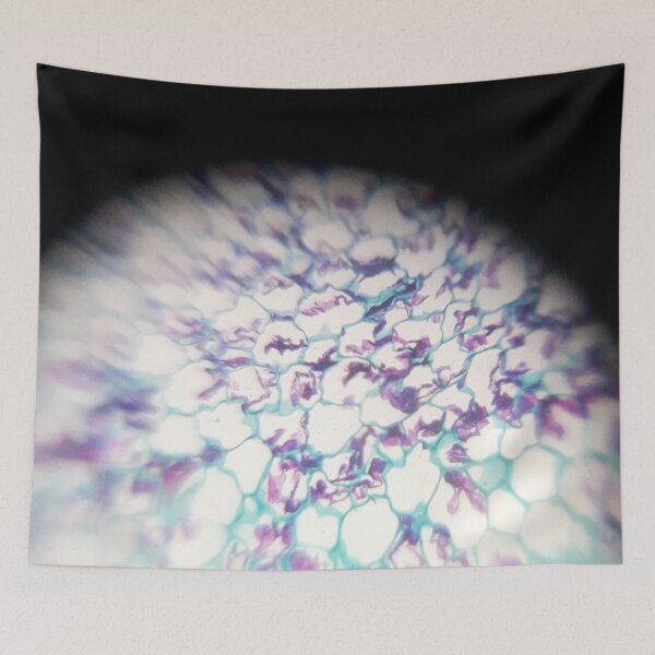 Item preview, PLANT CELL UNDER MICROSCOPE | NATURE | ORGANIC SHAPE | LIGHT designed and sold by CeraRoss.
