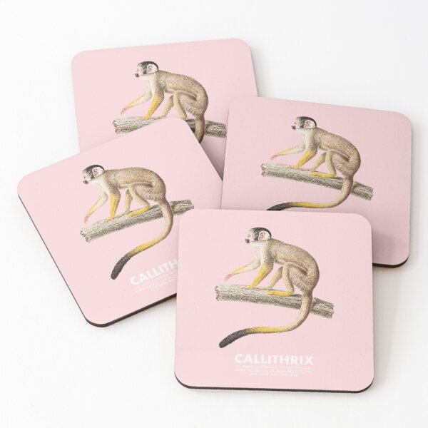 Item preview, Callithris - Natural History poster designed and sold by Miaou Studio.