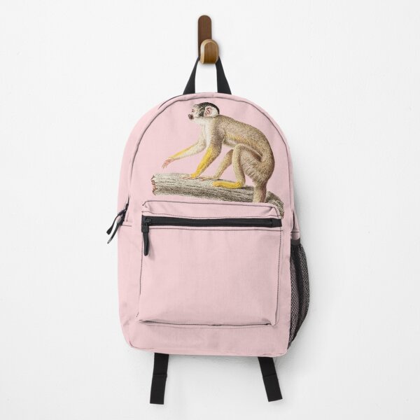 Item preview, Callithris - Natural History poster designed and sold by Miaou Studio.