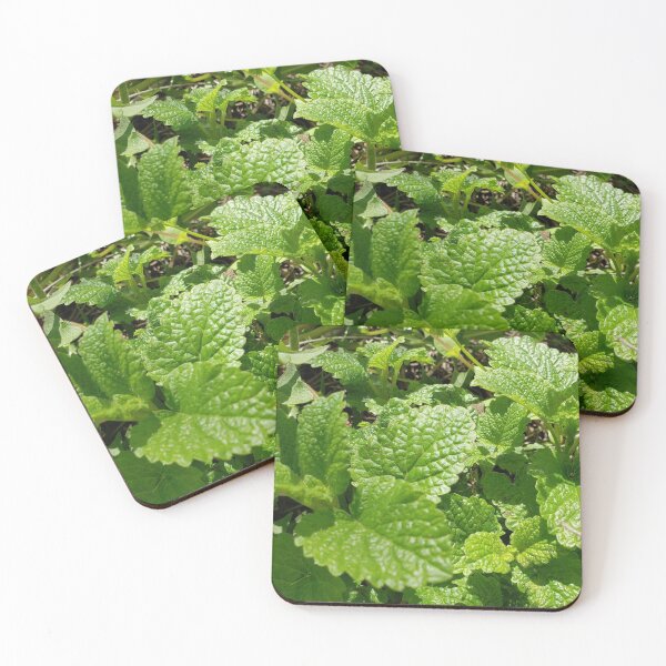 Item preview, Lemon Balm  designed and sold by GrudleBay.