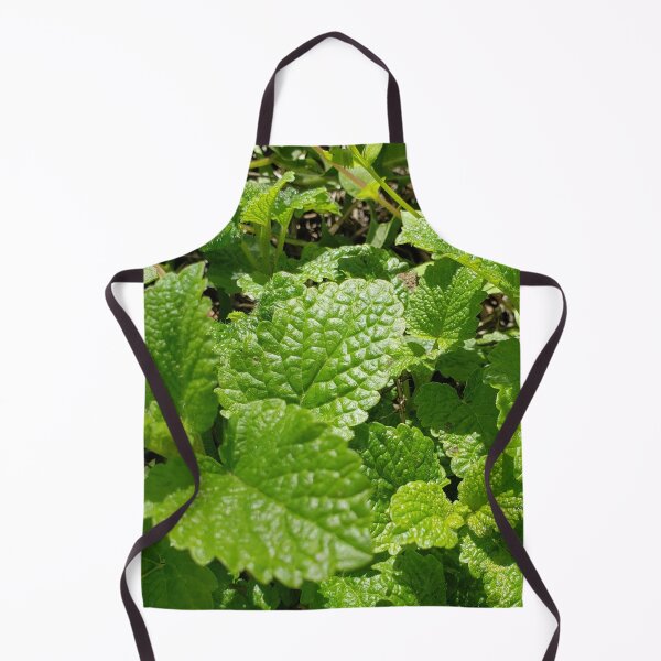 Item preview, Lemon Balm  designed and sold by GrudleBay.