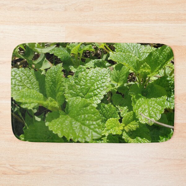 Item preview, Lemon Balm  designed and sold by GrudleBay.
