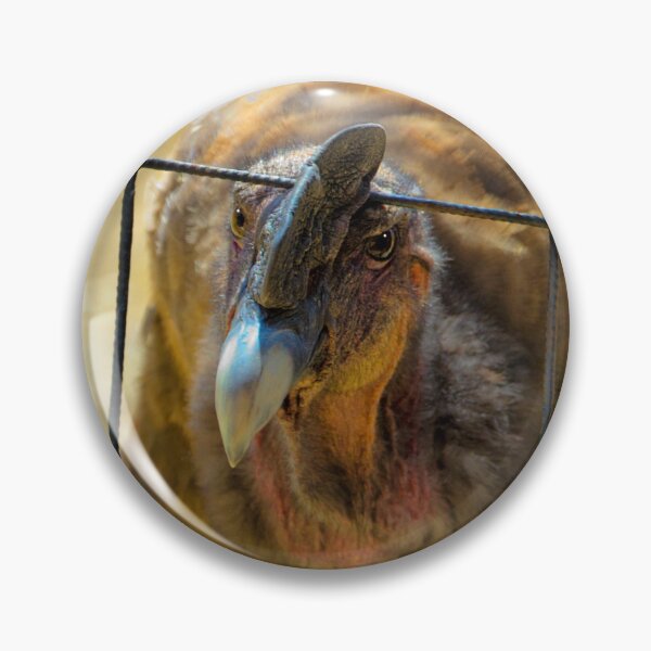 Item preview, An Andean Condor At Amaru designed and sold by alabca.