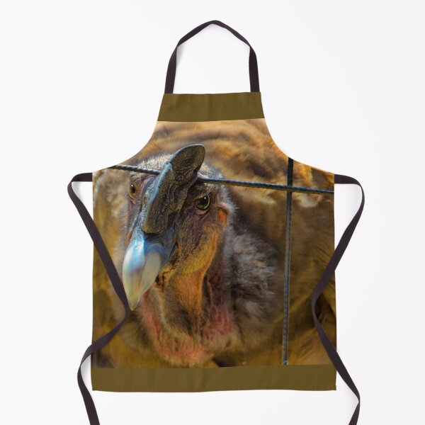 Item preview, An Andean Condor At Amaru designed and sold by alabca.
