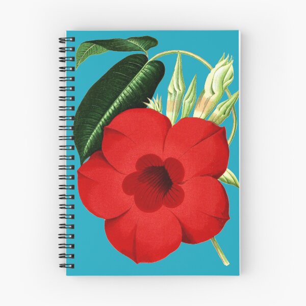 Item preview, Dipladenia Flower (1878) designed and sold by arcane-snake.