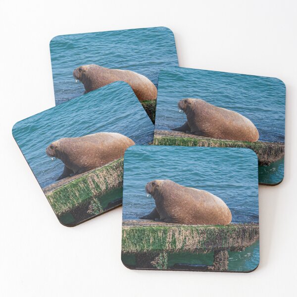 Item preview, Tenby's Wally The Walrus designed and sold by RCMPhotography.