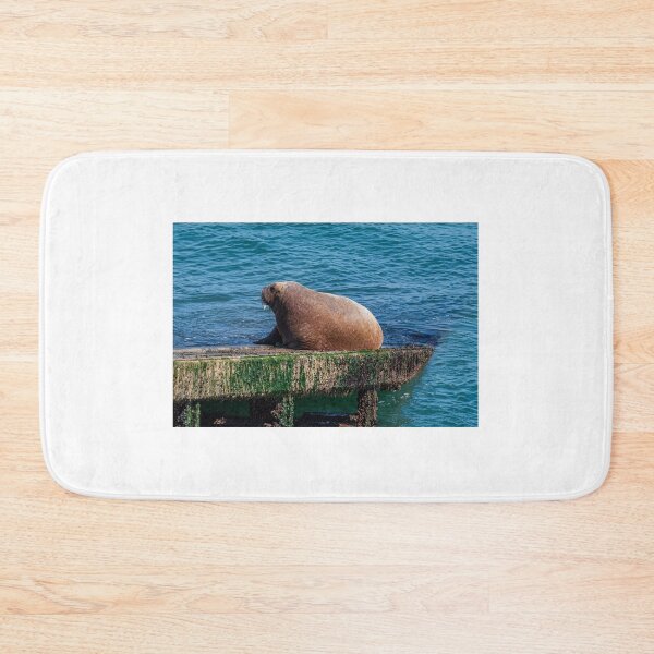 Item preview, Tenby's Wally The Walrus designed and sold by RCMPhotography.