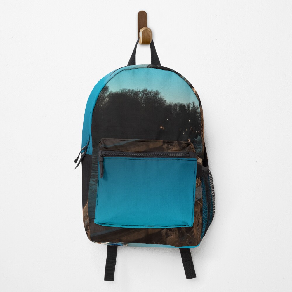 Item preview, Backpack designed and sold by danbobs.