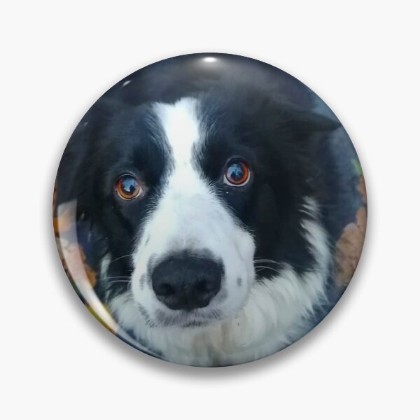 Item preview, Aren't I cute?  designed and sold by Dorisdogface.