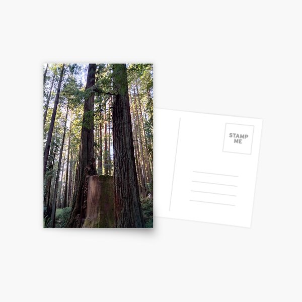 Item preview, Redwood Stump designed and sold by TeaFairy Art.