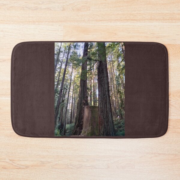 Item preview, Redwood Stump designed and sold by TeaFairy Art.