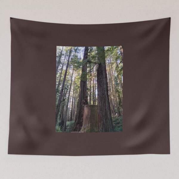 Item preview, Redwood Stump designed and sold by TeaFairy Art.