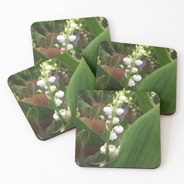 Item preview, Muguet - Gyöngyvirág - Lily of the valley - 1st of May - BIPHOTO - Fete du Muguet - France designed and sold by BIPHOTONEWS.