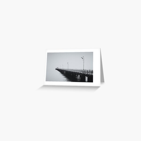 Item preview, Comorants on the Pier designed and sold by Silken Photography.