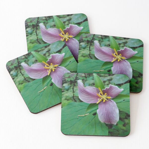 Item preview, Pink Trillium designed and sold by TeaFairy Art.