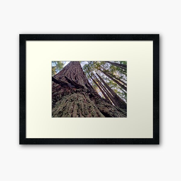 Item preview, Barking Up The Wrong Tree designed and sold by TeaFairy Art.