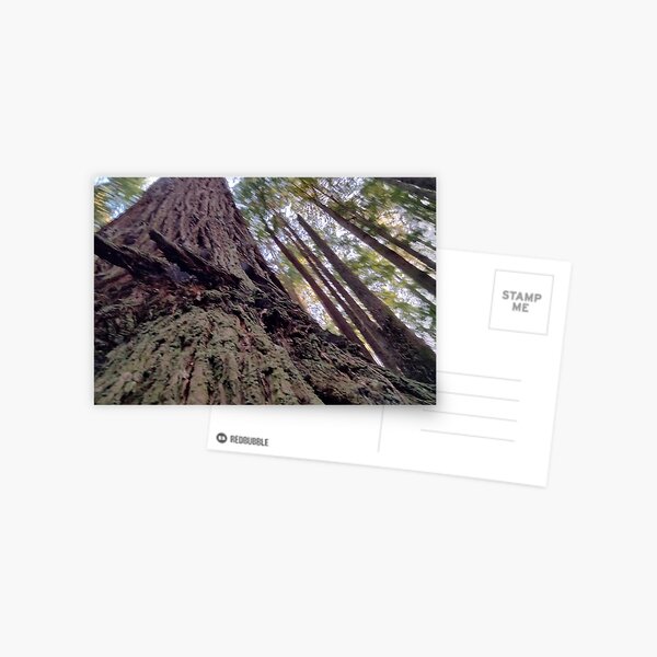 Item preview, Barking Up The Wrong Tree designed and sold by TeaFairy Art.