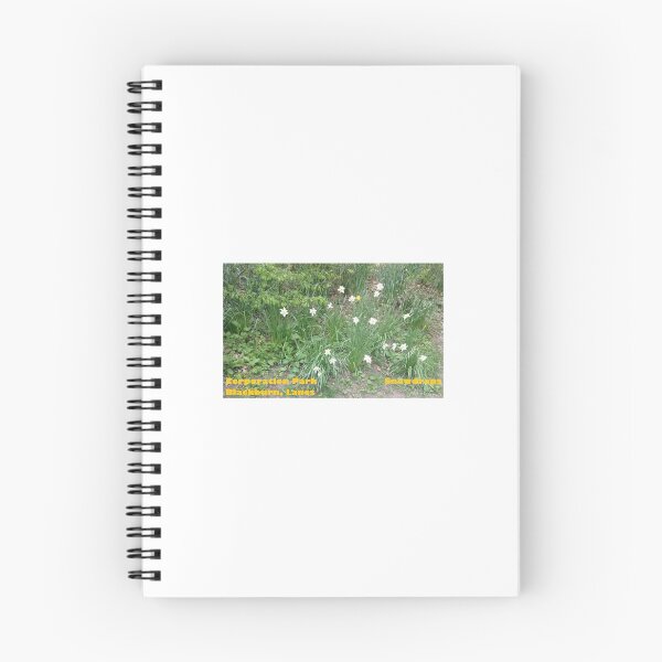 Item preview, Snowdrops - Corporation Park - Blackburn - Lancs designed and sold by DJLancs.