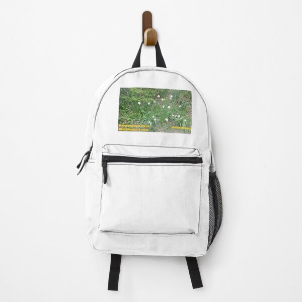 Item preview, Snowdrops - Corporation Park - Blackburn - Lancs designed and sold by DJLancs.