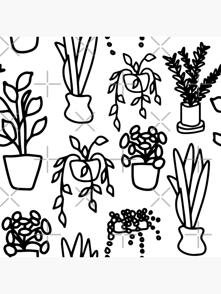 Thumbnail 3 of 3, Sticker, Common Houseplant Doodle Black and White Repeating Pattern designed and sold by bird767.