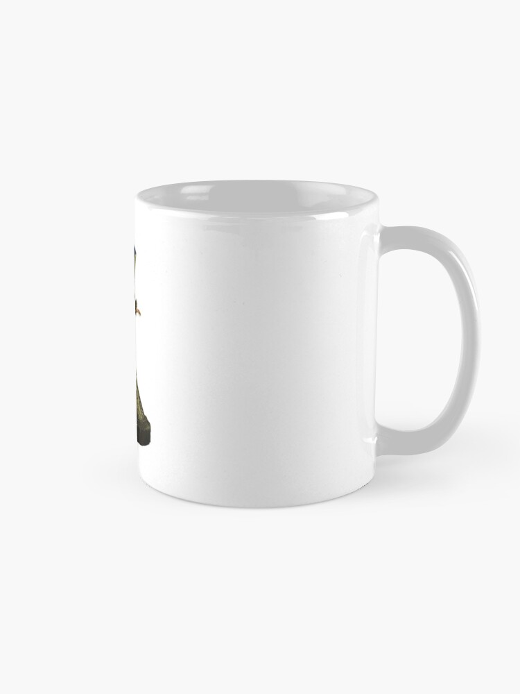 https://ih1.redbubble.net/image.2346525912.3678/mug,standard,x1000,right-pad,750x1000,f8f8f8.jpg