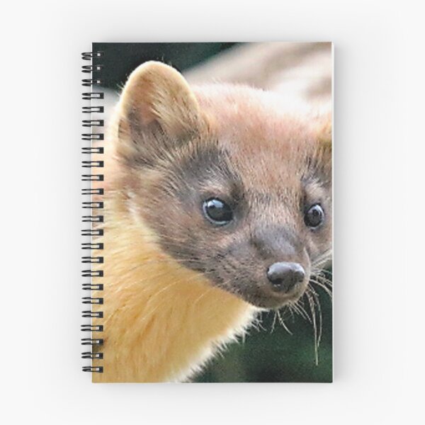 Item preview, A Wonderful Pine Marten designed and sold by Karen Thomson.