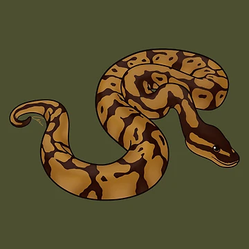 Artwork thumbnail, Normal Ball Python by anacecilia