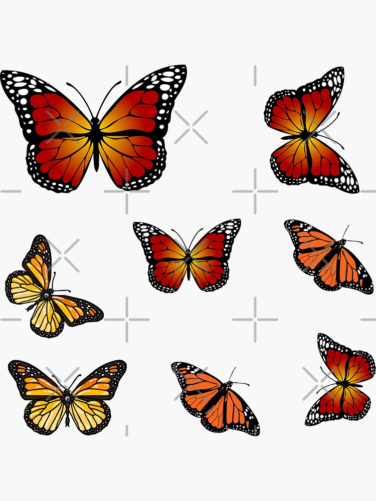 Monarch Butterfly Sticker For Sale By Khalid9 Redbubble 