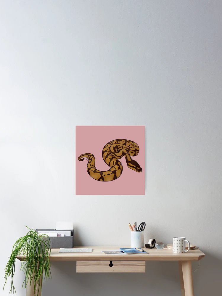 Thumbnail 2 of 3, Poster, Normal Ball Python II designed and sold by anacecilia.