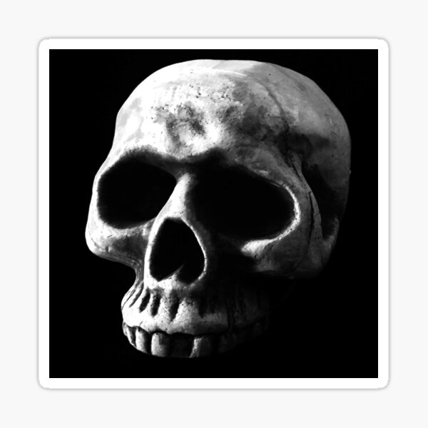 Item preview, SKULL by Jase Michael 2017 designed and sold by solariogallery.