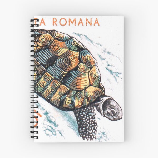 Item preview, Vintage 1965 Romania tortoise postage stamp designed and sold by NVDesigns.