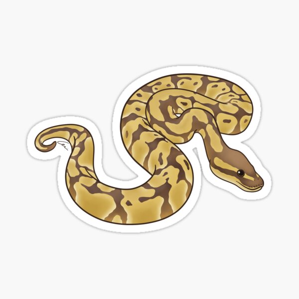 Item preview, Lesser Ball Python II designed and sold by anacecilia.