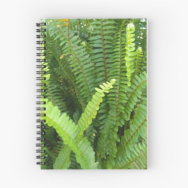 Item preview, Fern designed and sold by xverdevx.