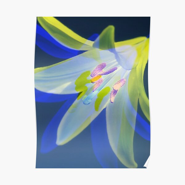 Lovely Lily Poster