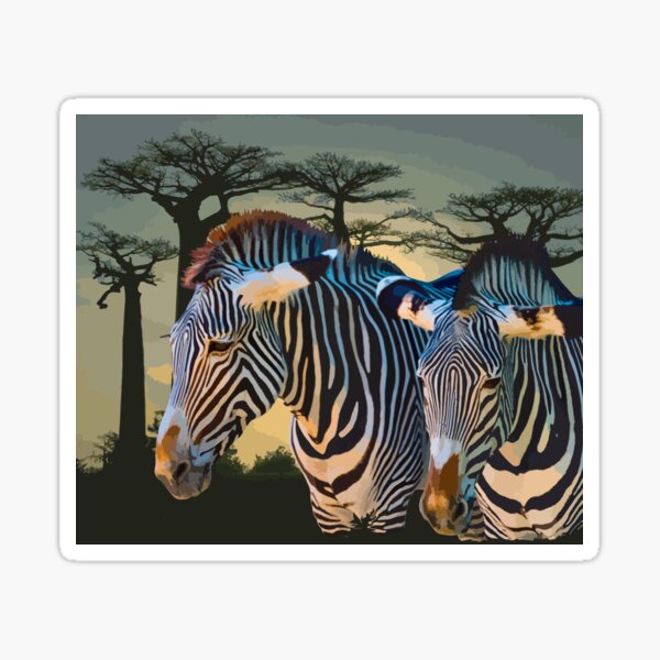 Amazing Animals: Zebra Sunset in Africa Sticker