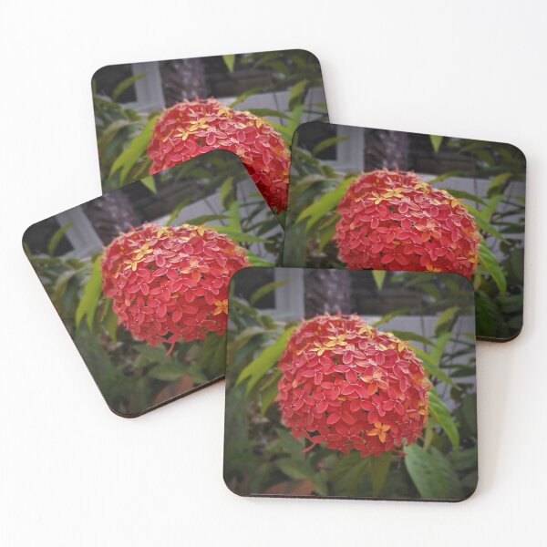 Item preview, Chinese ixora designed and sold by LOKTAKshope.