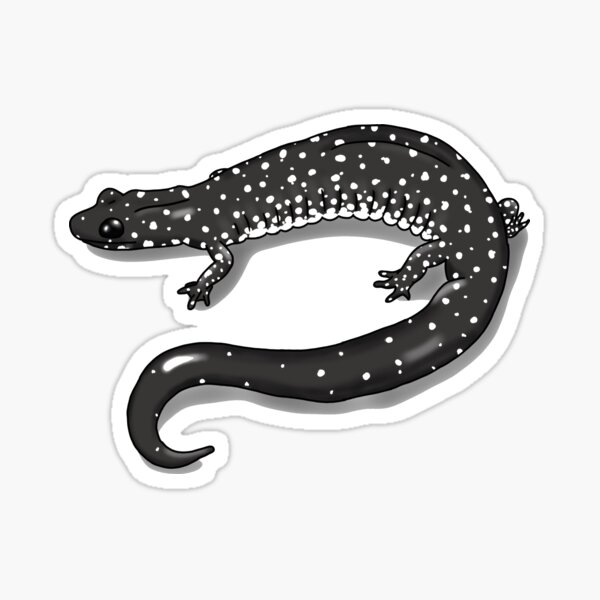 Item preview, Western Slimy Salamander  designed and sold by clydeball.