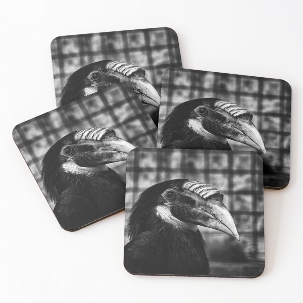 Item preview, Hornbill Portrait 3 designed and sold by Charles Oliver Creations.