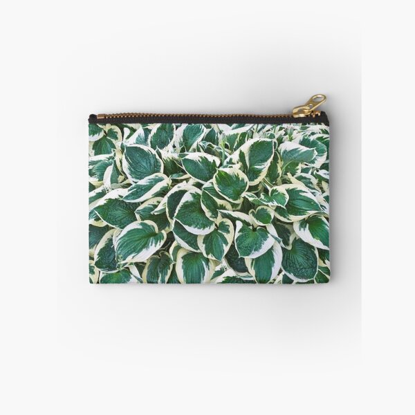 Item preview, Gorgeous Minuteman Hosta Plant designed and sold by Maddie4Real.
