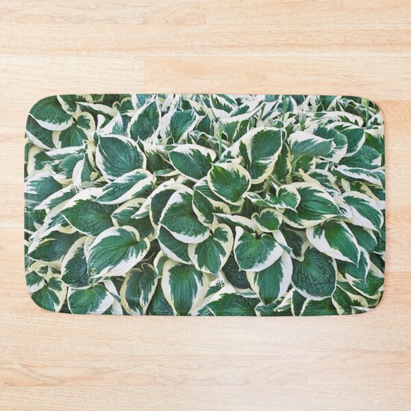 Item preview, Gorgeous Minuteman Hosta Plant designed and sold by Maddie4Real.