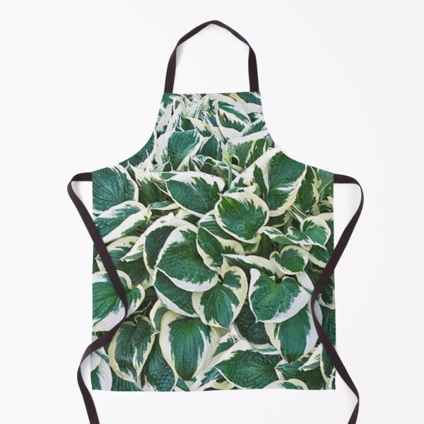 Item preview, Gorgeous Minuteman Hosta Plant designed and sold by Maddie4Real.