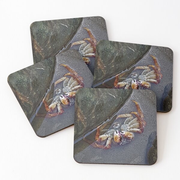 Item preview, Crab's carrion designed and sold by LOKTAKshope.