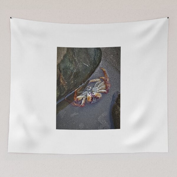 Item preview, Crab's carrion designed and sold by LOKTAKshope.