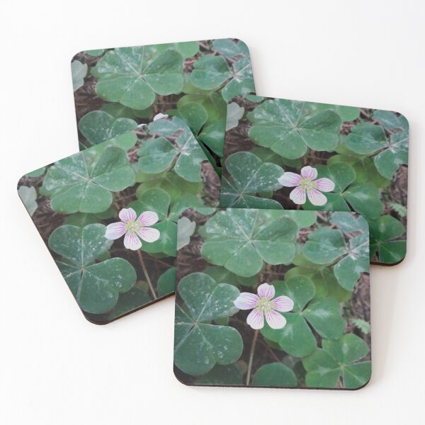 Item preview, Forest Sorel and Peppermint Stripe Flowers designed and sold by TeaFairy Art.