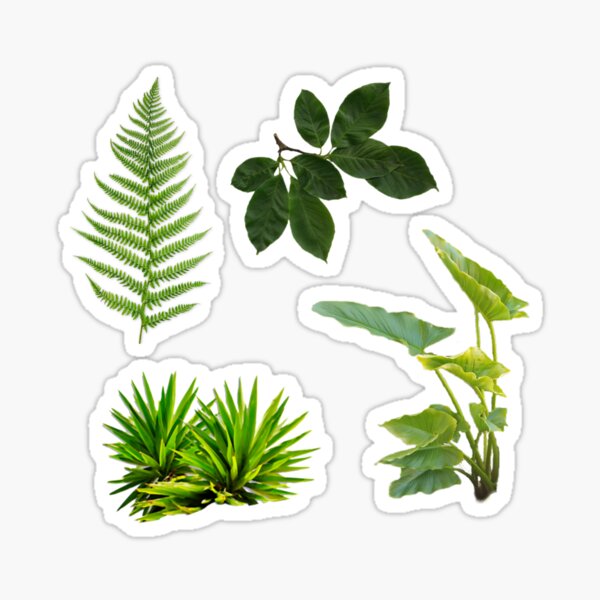 Plants (4 pack) Sticker