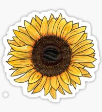 Sunflower Sticker