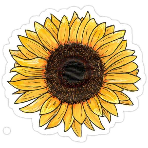  Sunflower Stickers by egorringe Redbubble