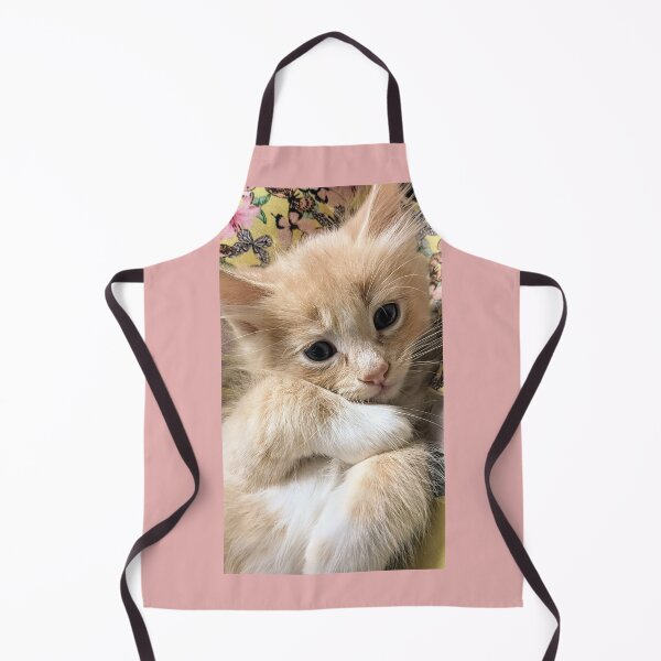 Item preview, Ginger Ragdoll Mainecoon kitten designed and sold by Fluffycat2020.