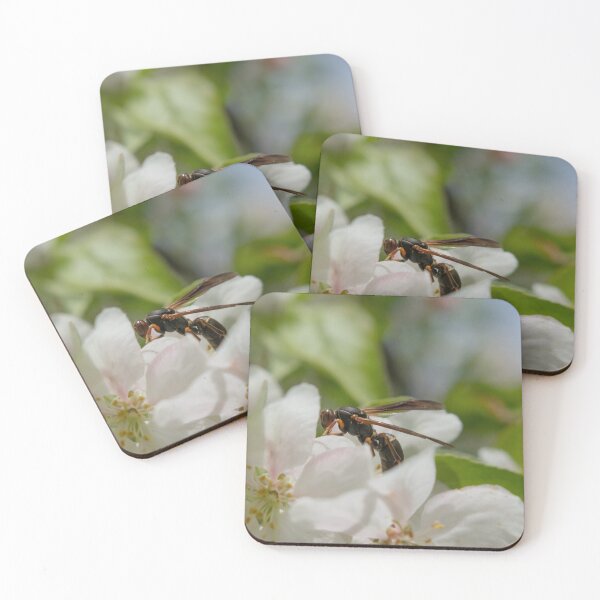 Item preview, the delicate wasp designed and sold by R-York.