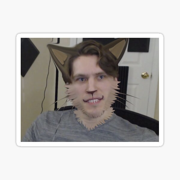 Jerma Cat Boy Sticker For Sale By Moodoohow Redbubble 2956